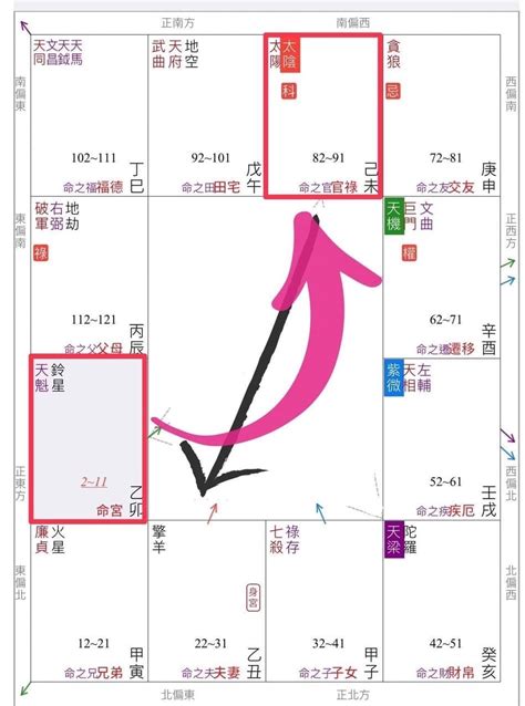 疾 厄 宮,氣質|紫微斗數【紫微星入疾厄宮】解析